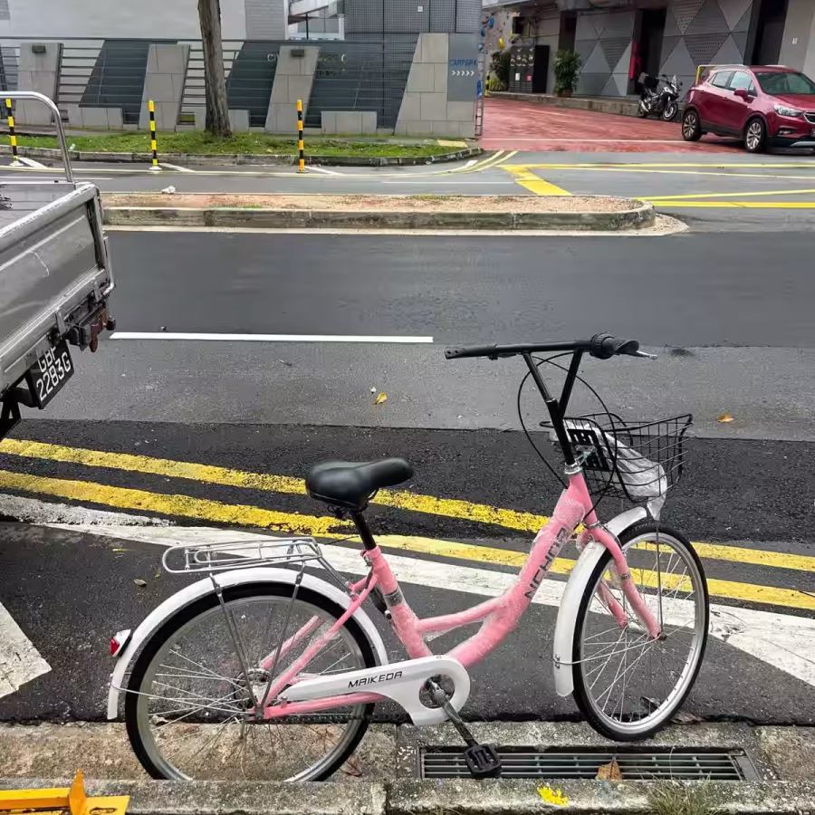 新加坡自行车，品质好物，质量很好，保证可以骑得住 图片 15
