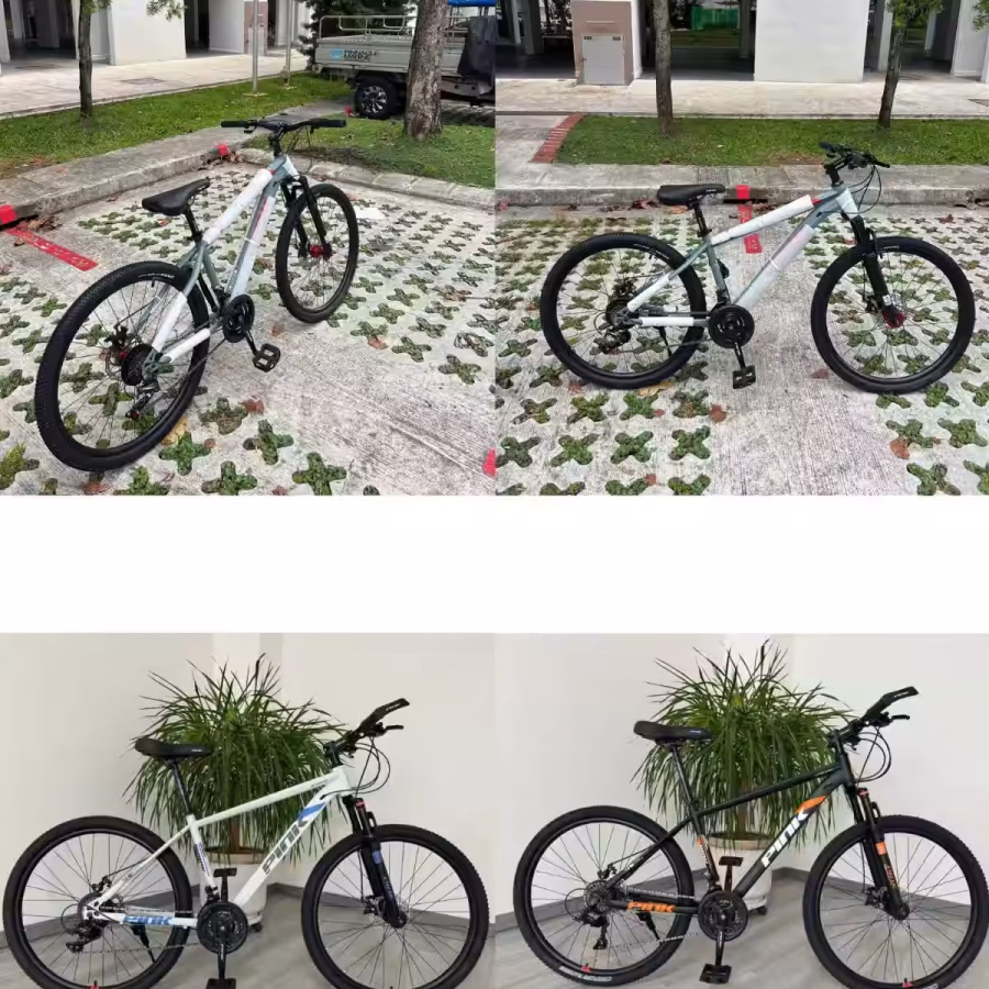 脚踏车，款式老多了，都保证质量，品质非常好 图片 7