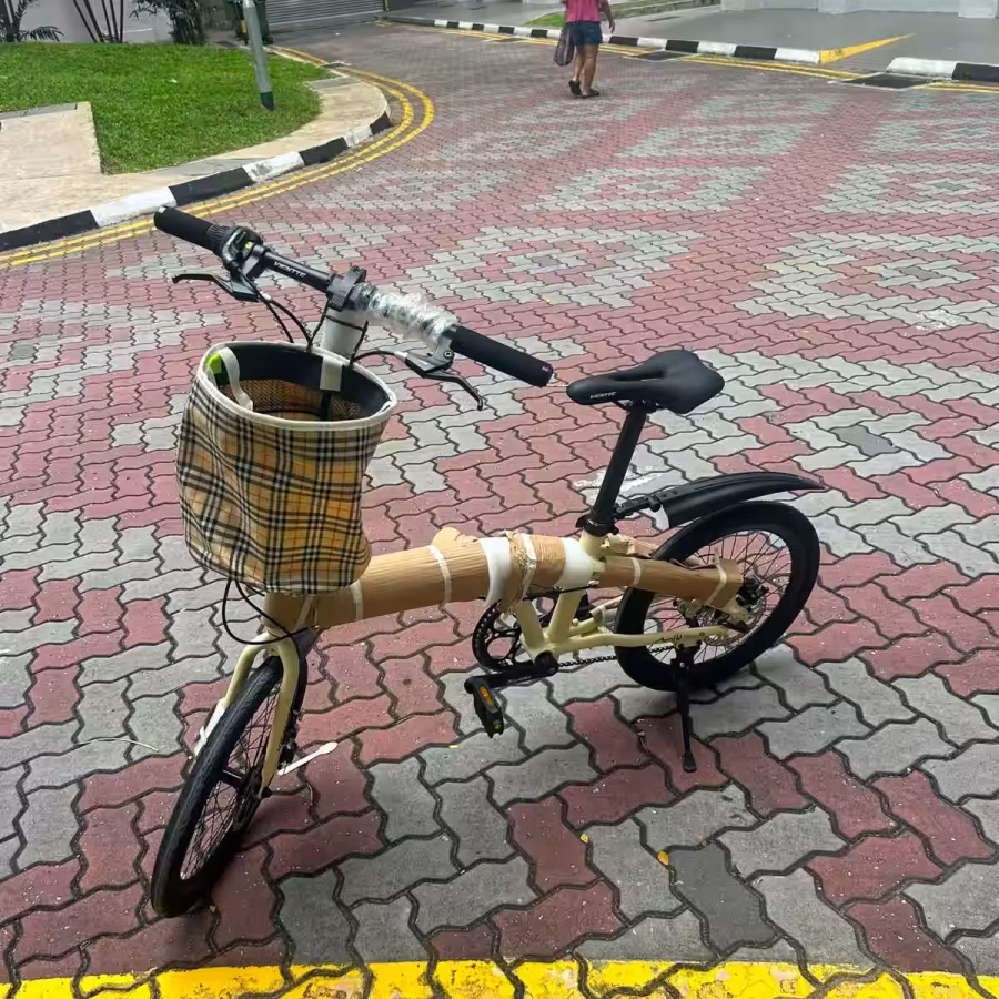 全新款全铝折叠自行车，20寸骑着超轻便，适合长时间骑行 图片 3