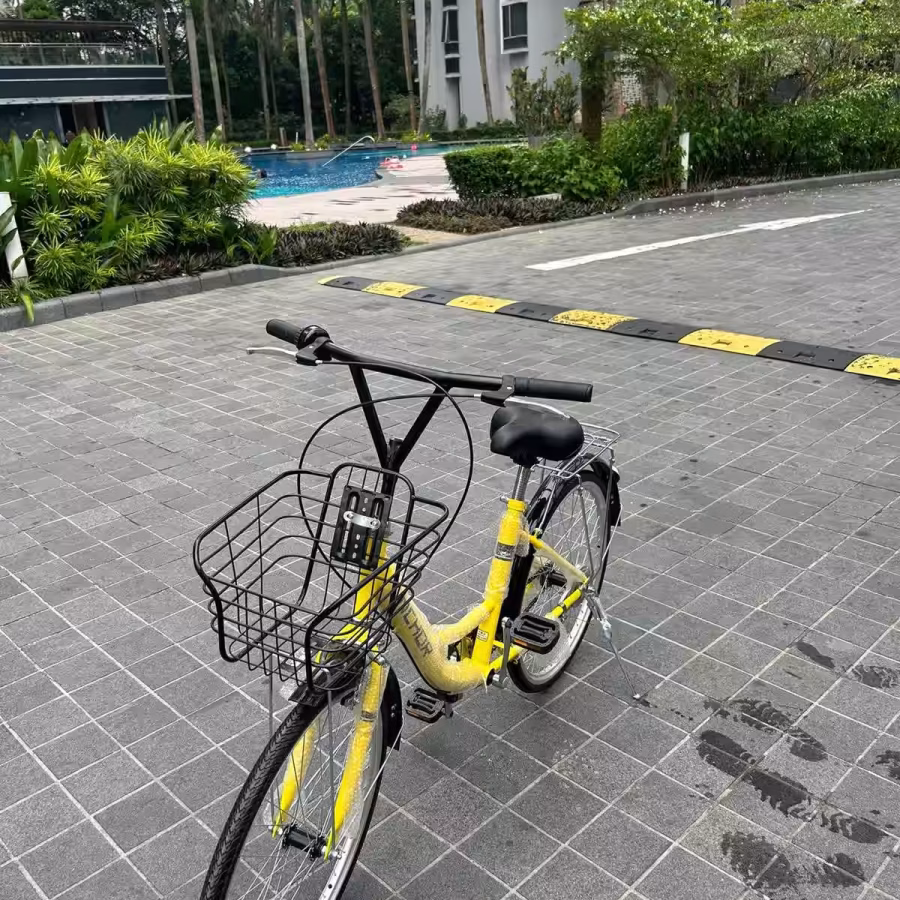 公主自行车，骑着非常轻盈，店铺同款在售，可配送到家 图片 2