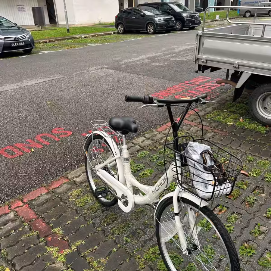 公主自行车，骑着非常轻盈，店铺同款在售，可配送到家 图片 4