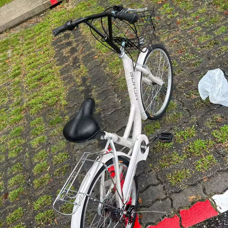 公主自行车，骑着非常轻盈，店铺同款在售，可配送到家 图片 6