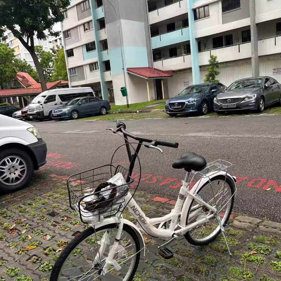 公主自行车，骑着非常轻盈，店铺同款在售，可配送到家 图片 5