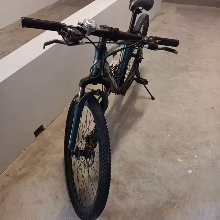 二手自行车 图片 2
