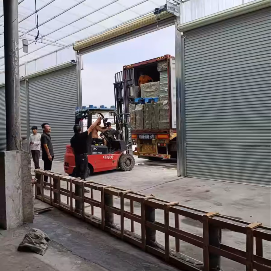 中国-新加坡货物运输 图片 3