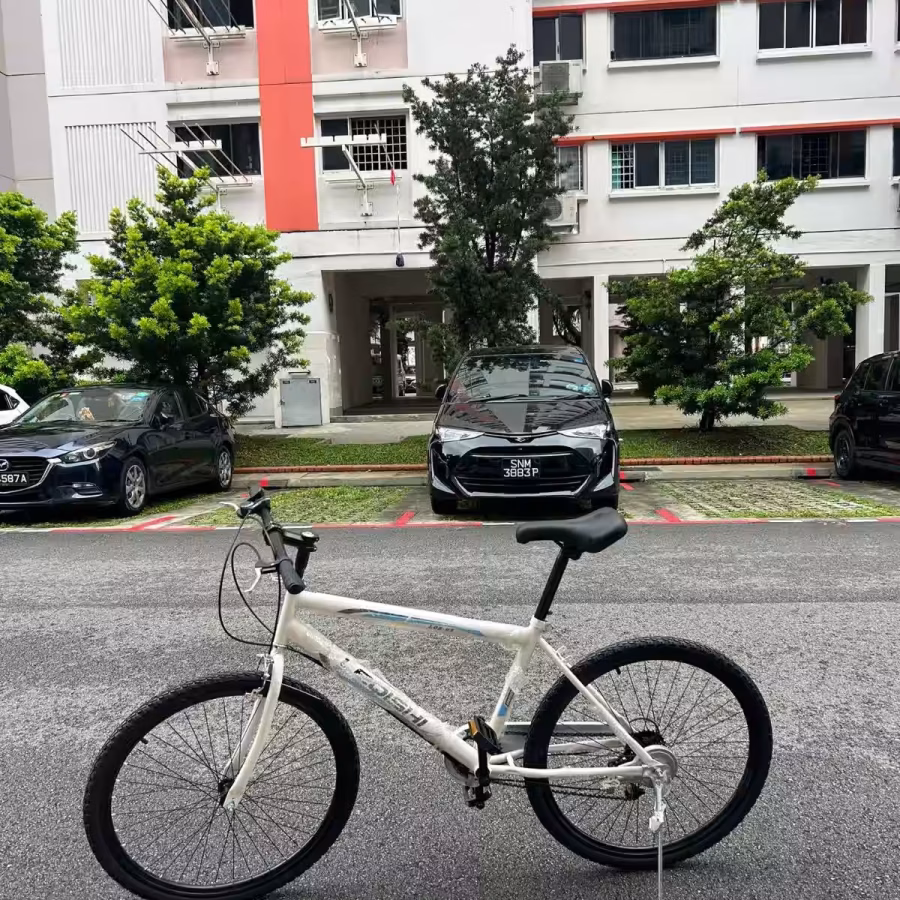 新加坡店铺售:全新款变速车 图片 3