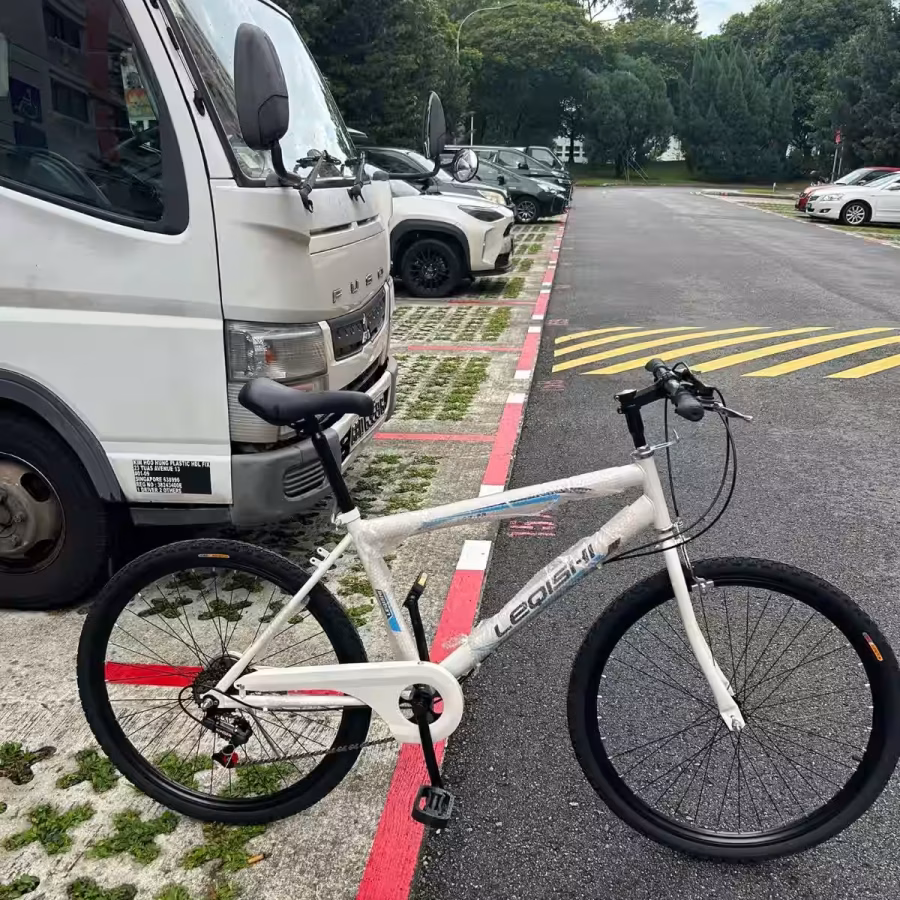 新加坡店铺售:全新款变速车 图片 5