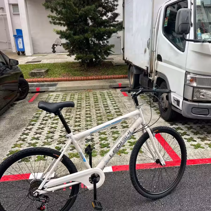 新加坡店铺售:全新款变速车 图片 6