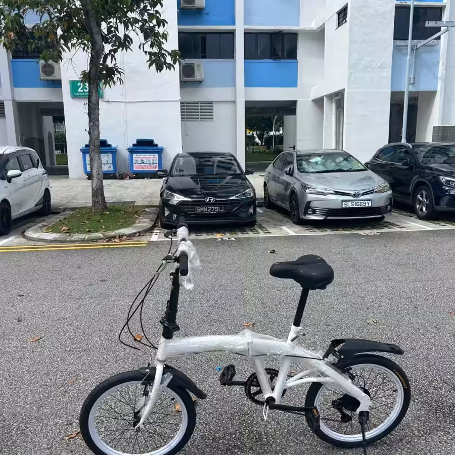 新加坡店铺全新款:20寸折叠款，骑着轻巧好折叠，品质很好 图片 5