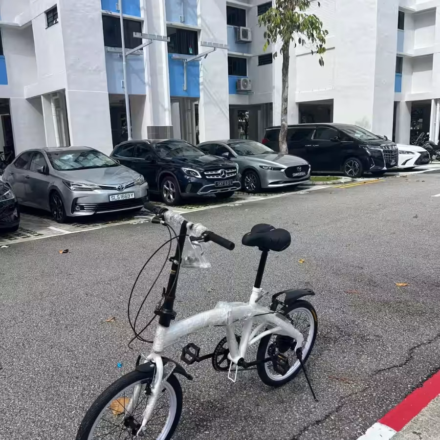 新加坡店铺全新款:20寸折叠款，骑着轻巧好折叠，品质很好 图片 6