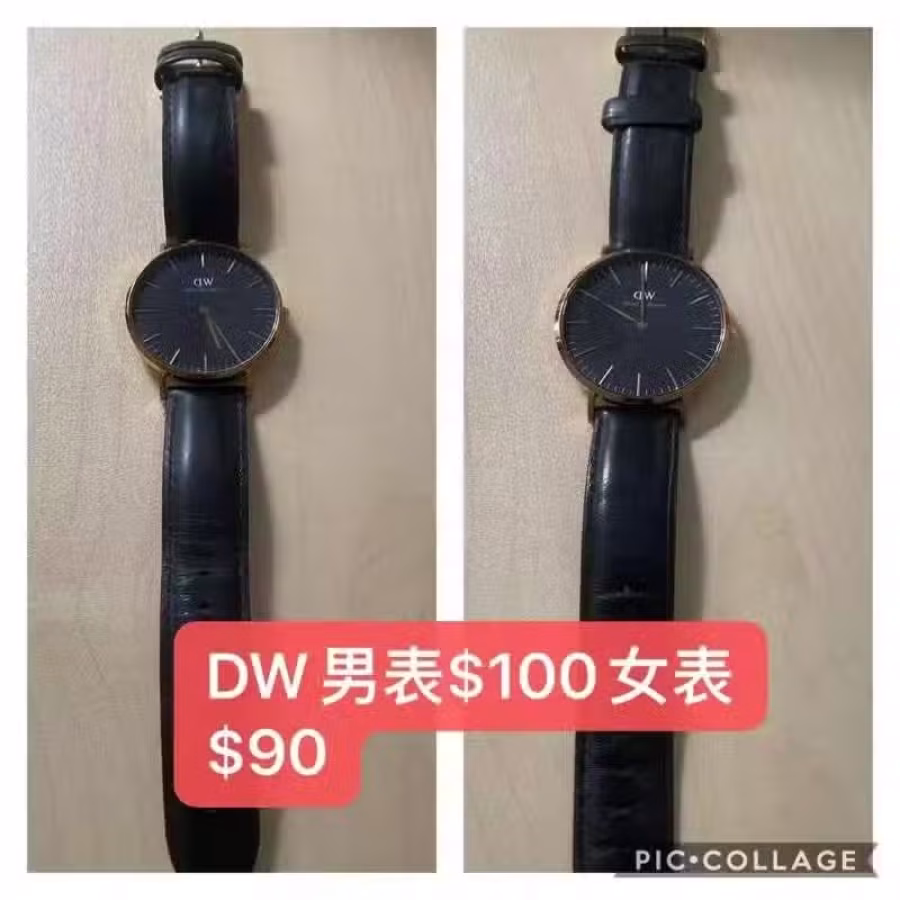DW手表 男表$100 女表$90 图片 1