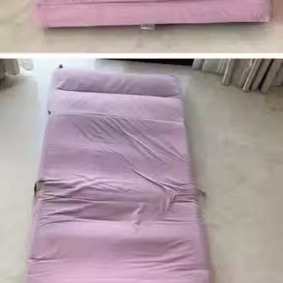 沙发床 图片 1
