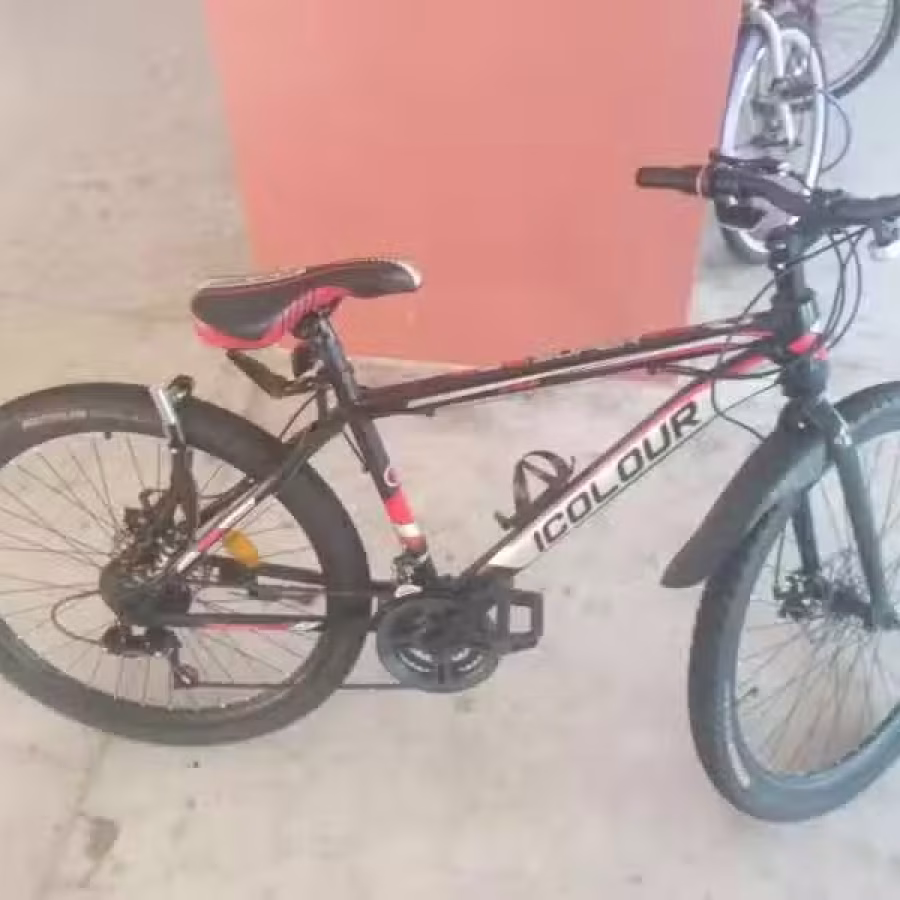 2手自行车 图片 3