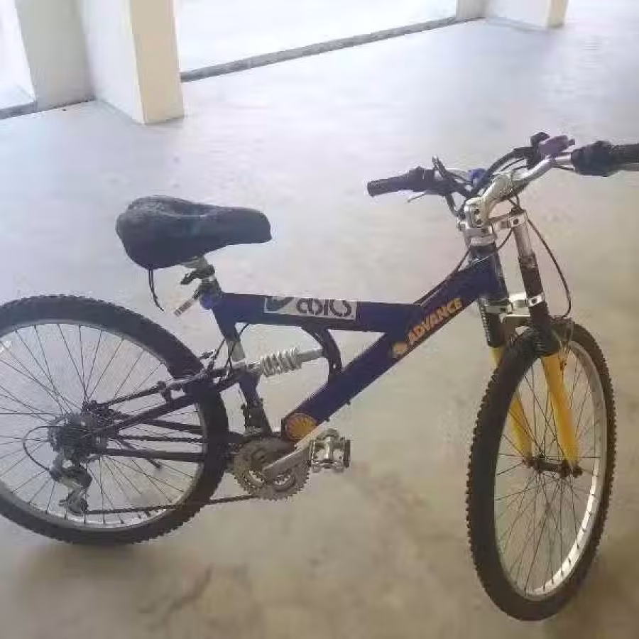 2手自行车 图片 4