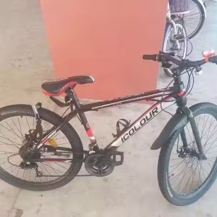 2手自行车 图片 5