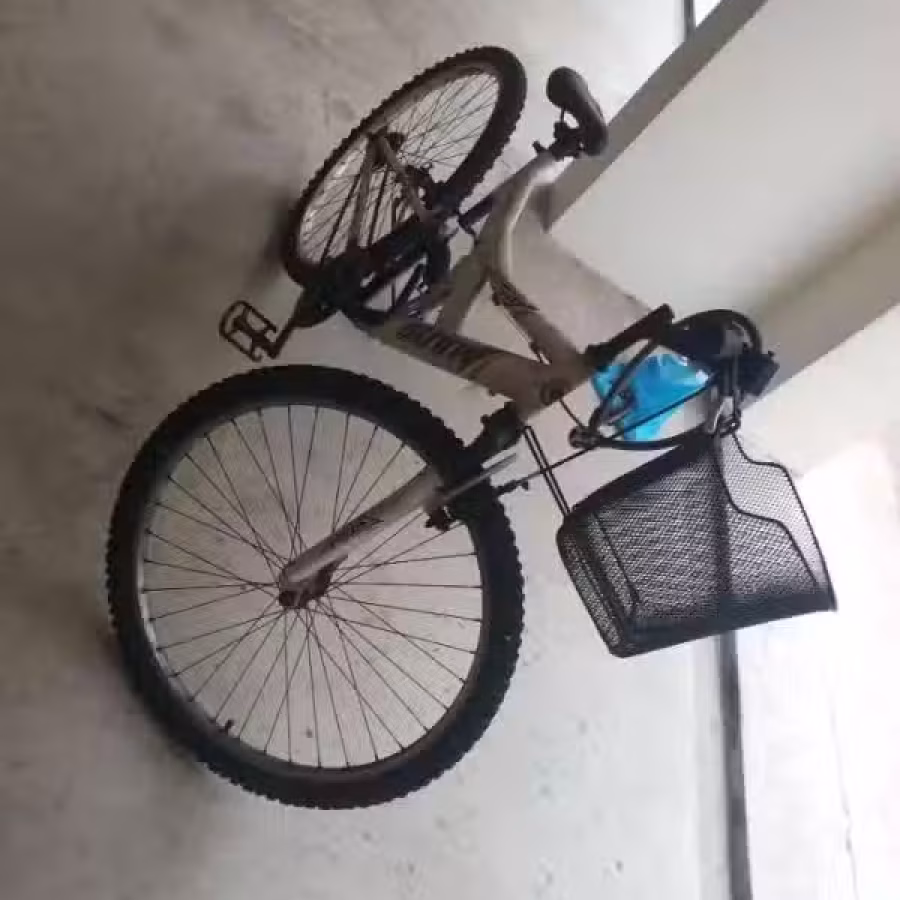 2手自行车 图片 2