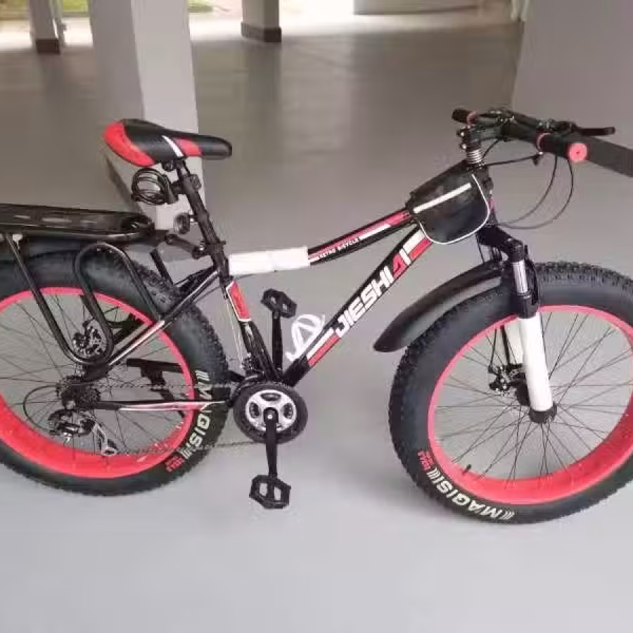 沙滩车 图片 2