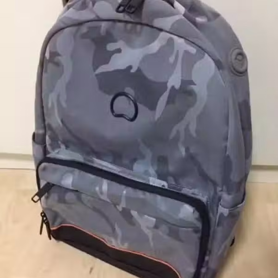 New Delsey Backpack 背包 图片 1
