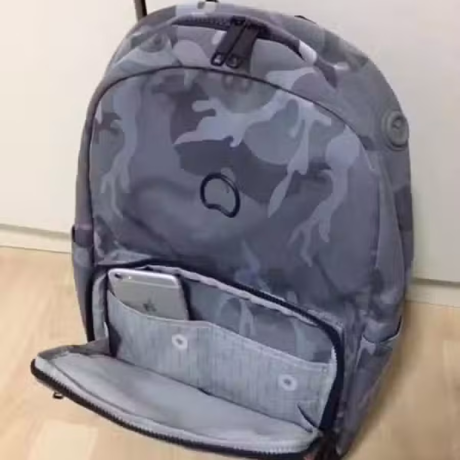 New Delsey Backpack 背包 图片 2