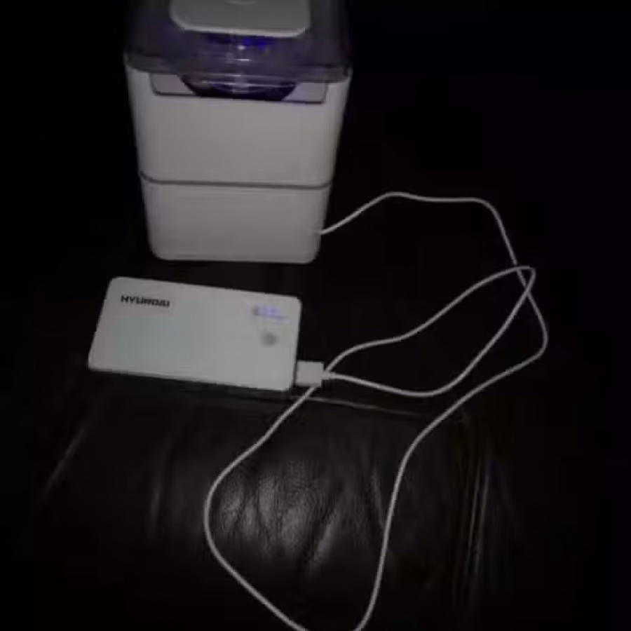 抓蚊子  图片 1