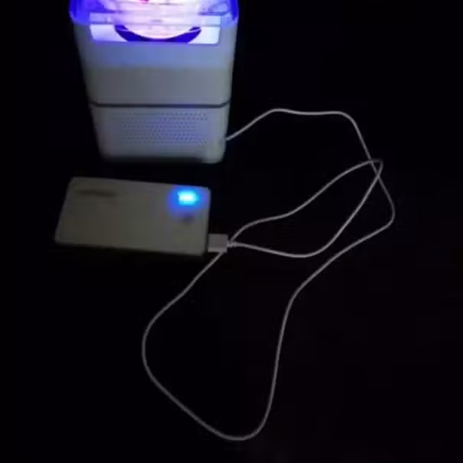 抓蚊子  图片 2