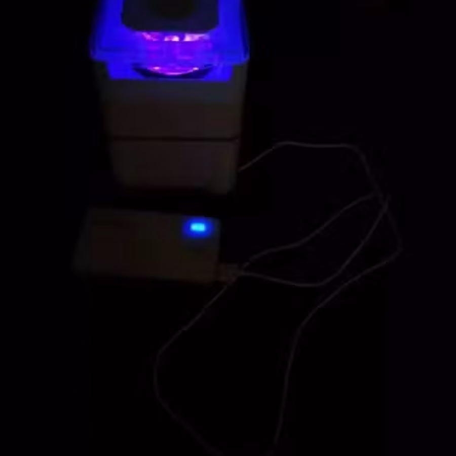 抓蚊子  图片 3
