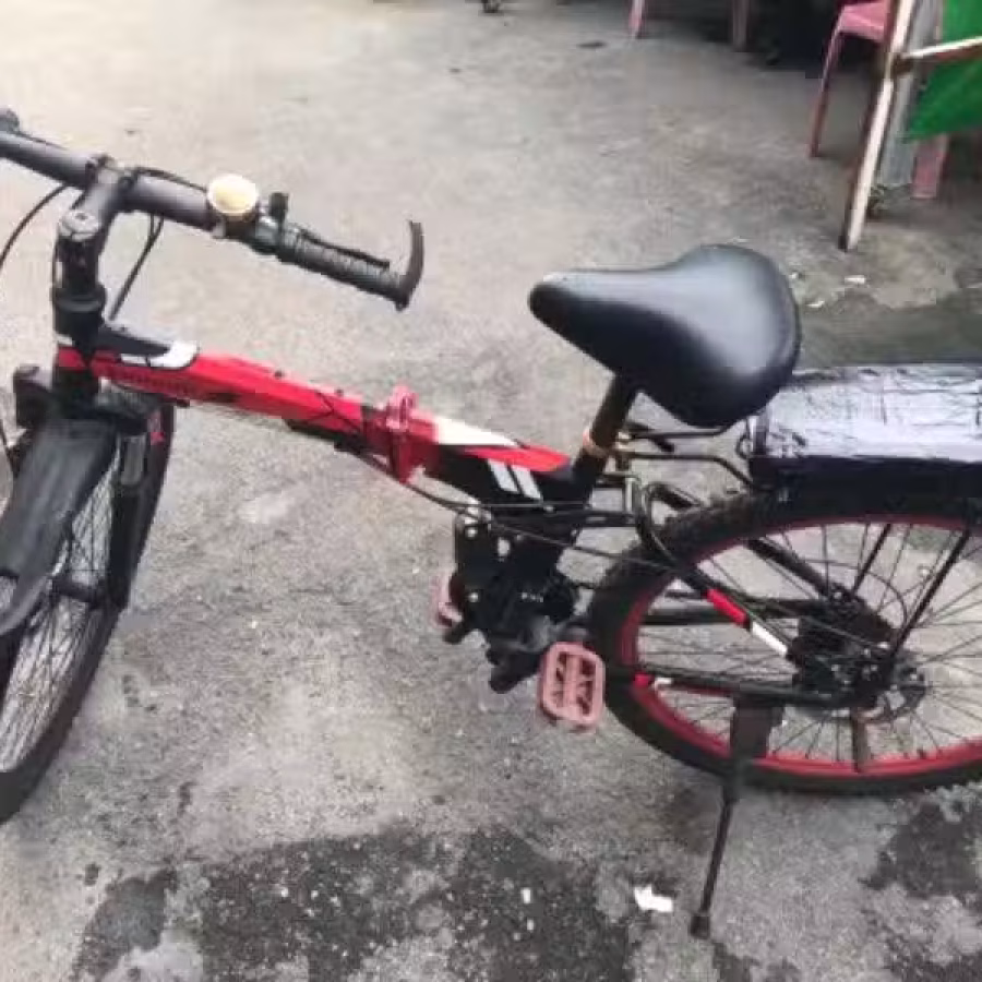 折叠自行车 图片 2