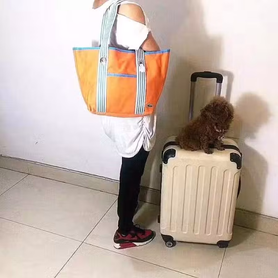 全新鳄鱼外贸包.套装大包送小包.防水厚帆布.子母包.超值背包手提包 图片 8
