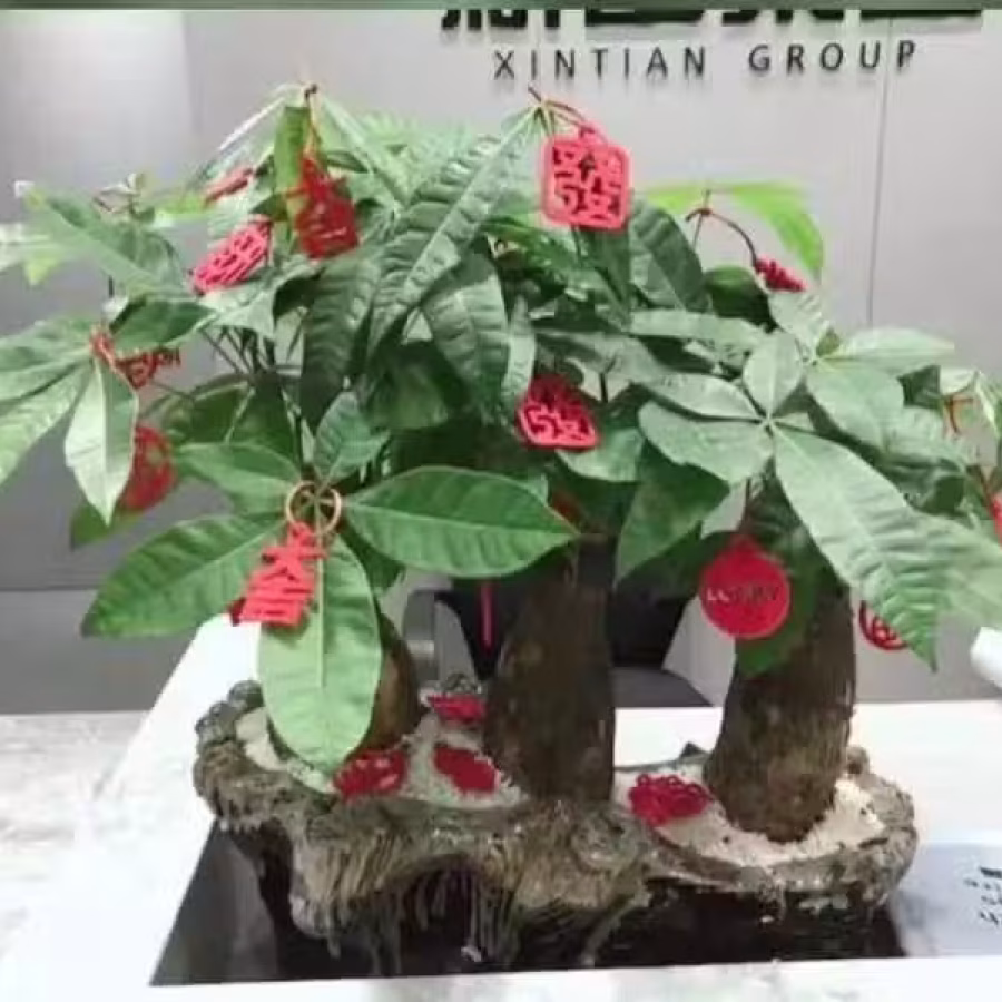 全新.新年植物盆栽装饰挂件.家用商用.大植物小植物都可用 图片 3
