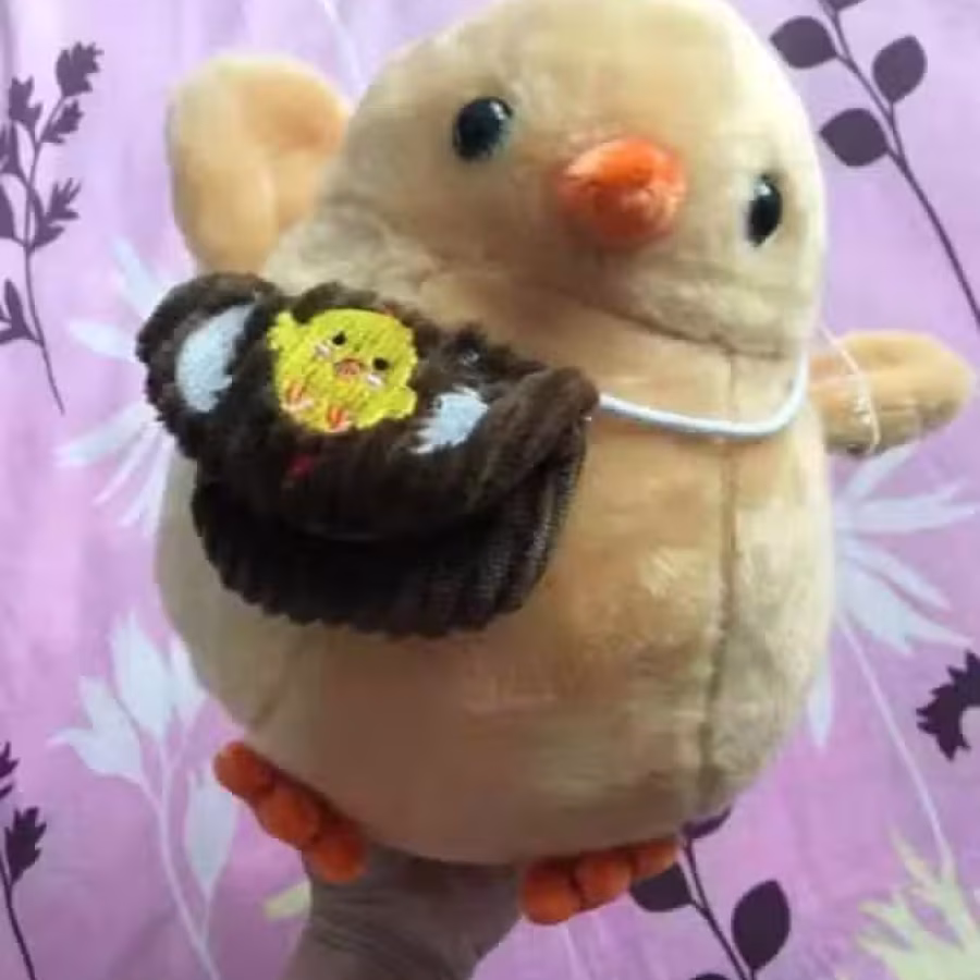 9成新窗帘绑带.可水洗.背书包的小鸡公仔绑带.非常特别 图片 5