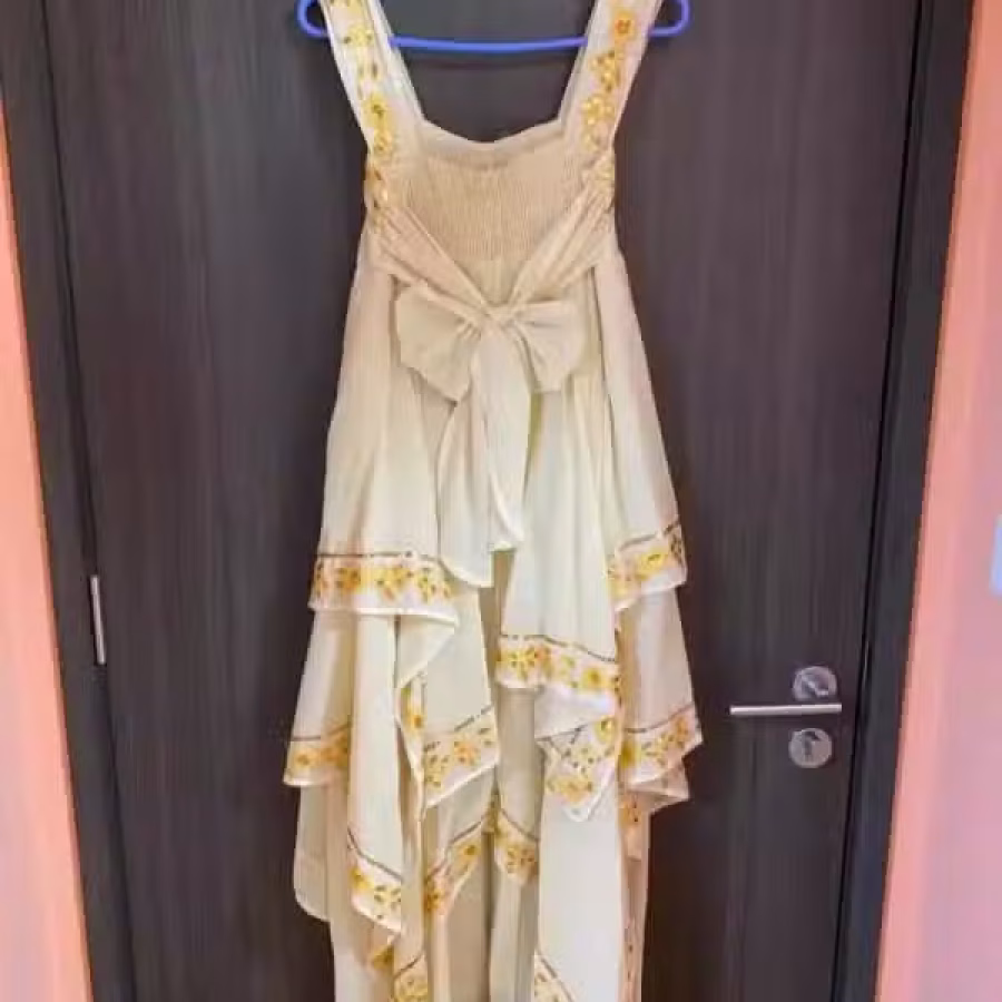 闲置洋装礼服 图片 19