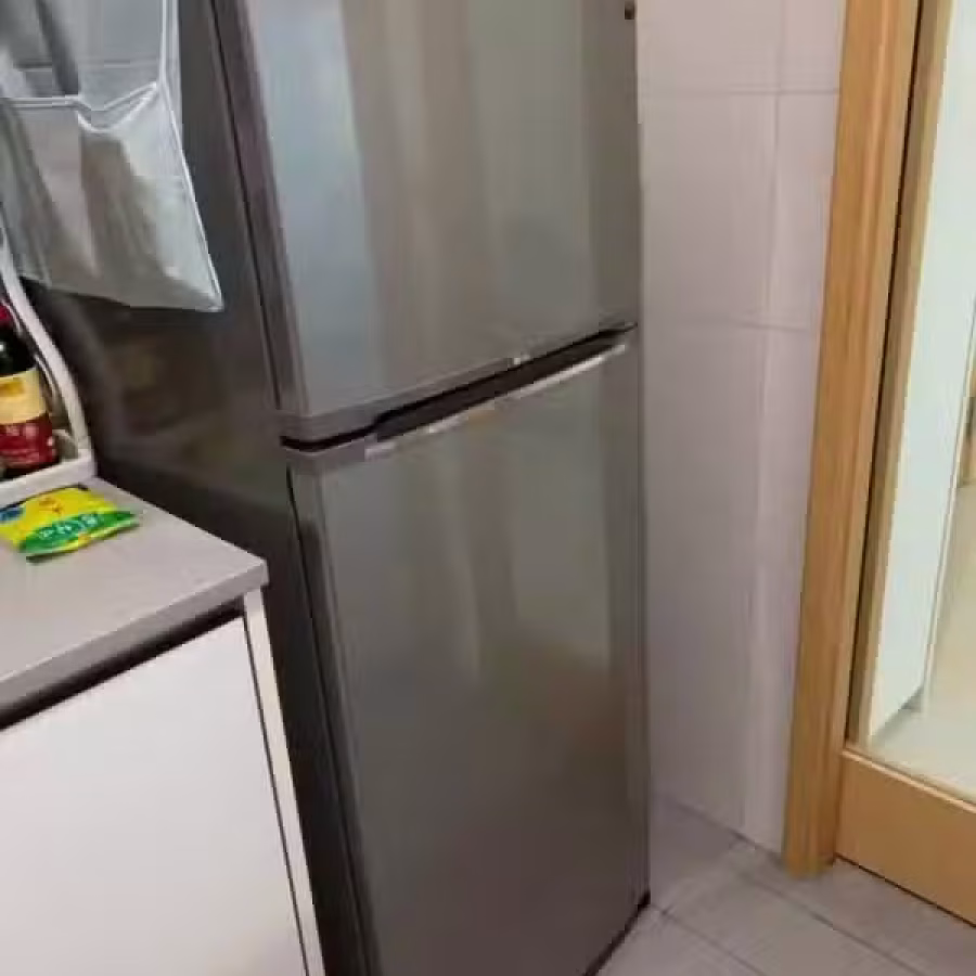 LG 188L 冰箱  图片 2