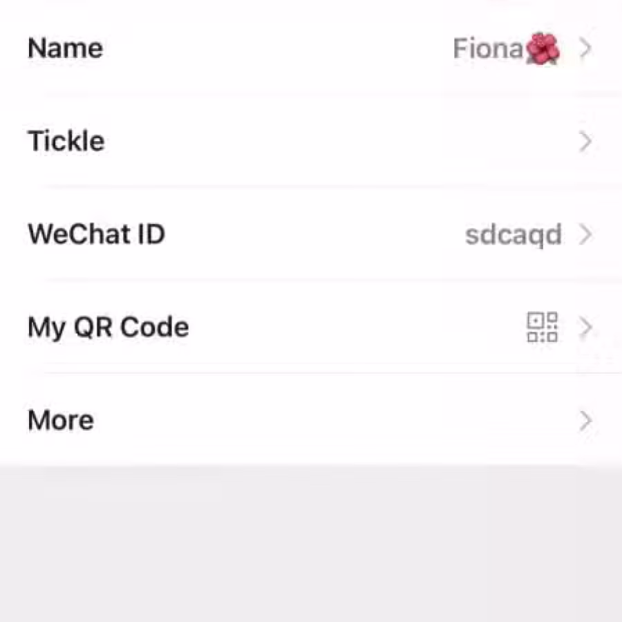 余仁生养生壶 图片 3