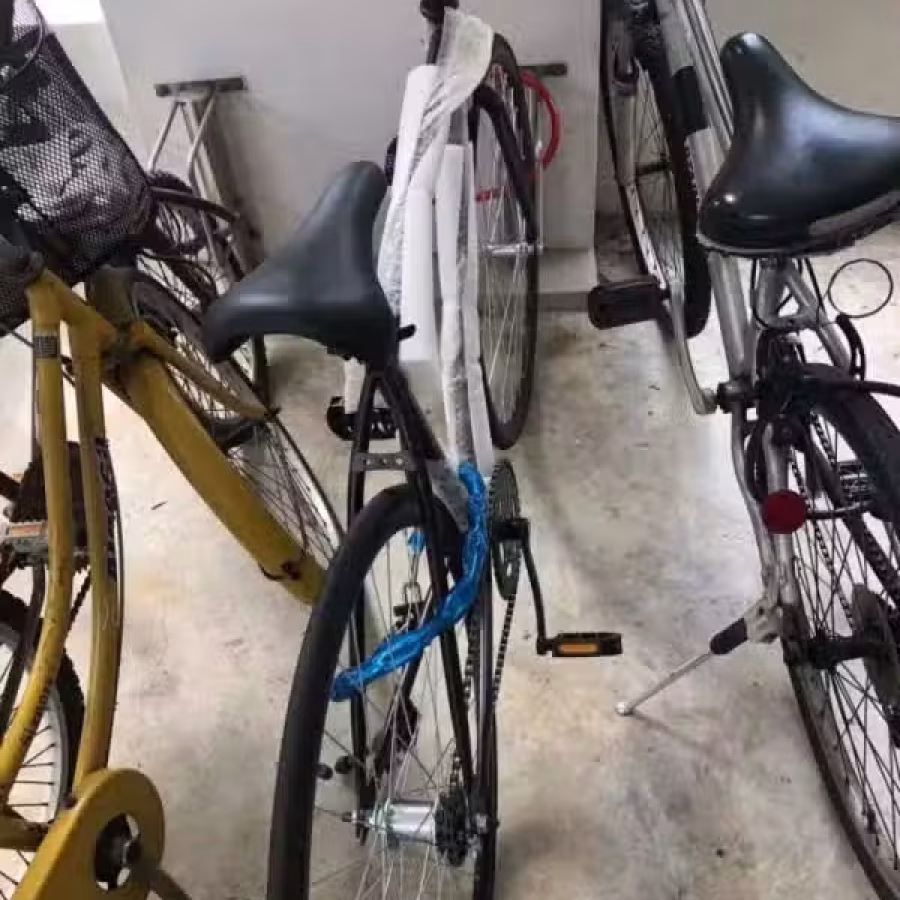 新自行车 图片 1