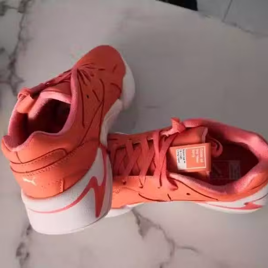 Puma  图片 2