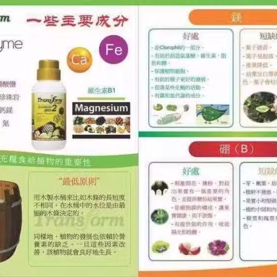 Transform 1 & 2 植物肥料水 图片 2