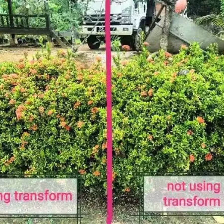 Transform 1 & 2 植物肥料水 图片 5