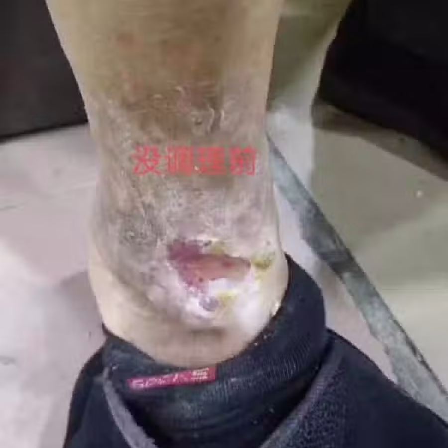 NewLife高浓度负氧离子仪（全岛招商） 图片 8