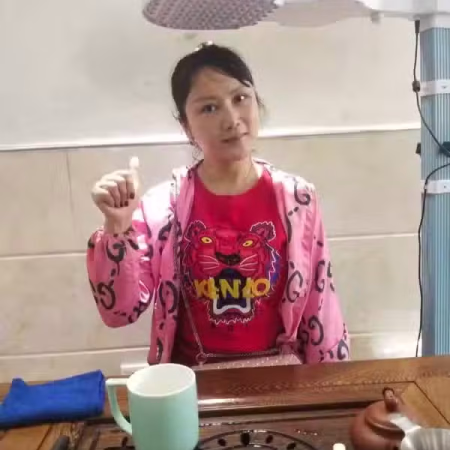 NewLife高浓度负氧离子仪（全岛招商） 图片 6
