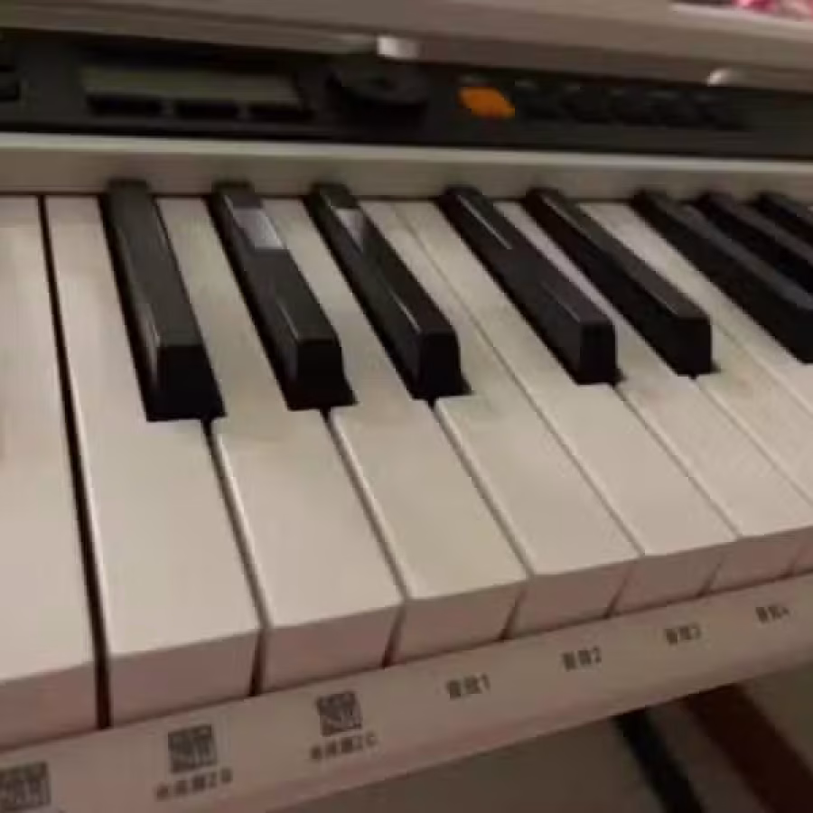 卡西欧Casio电子琴61键 图片 1