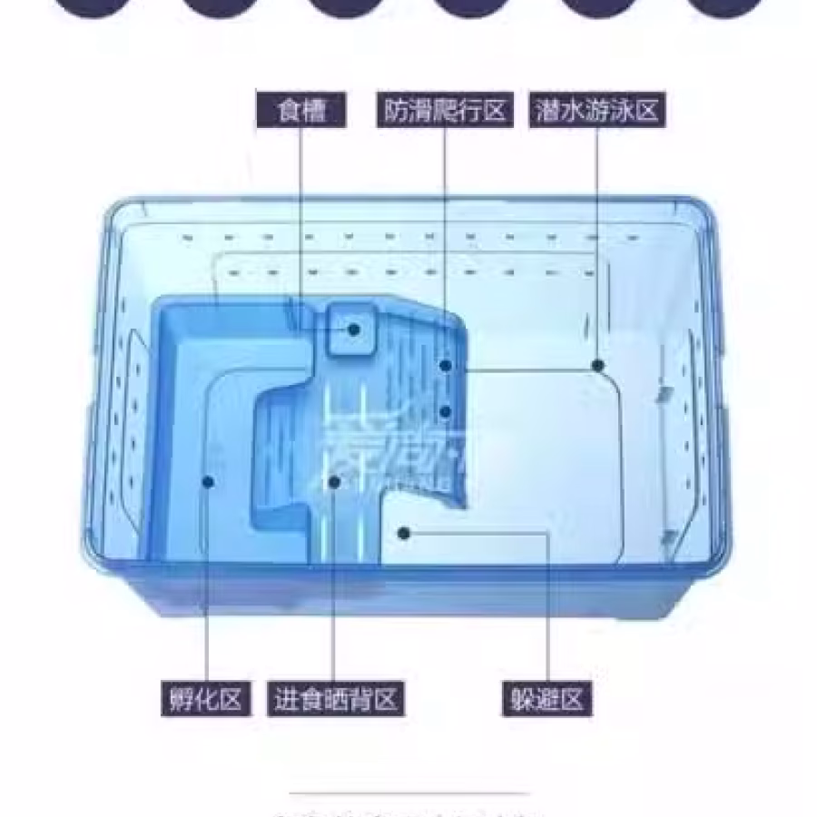 龟缸鱼缸小爬宠盒 图片 2