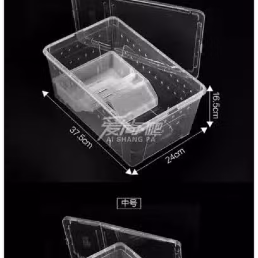 龟缸鱼缸小爬宠盒 图片 5
