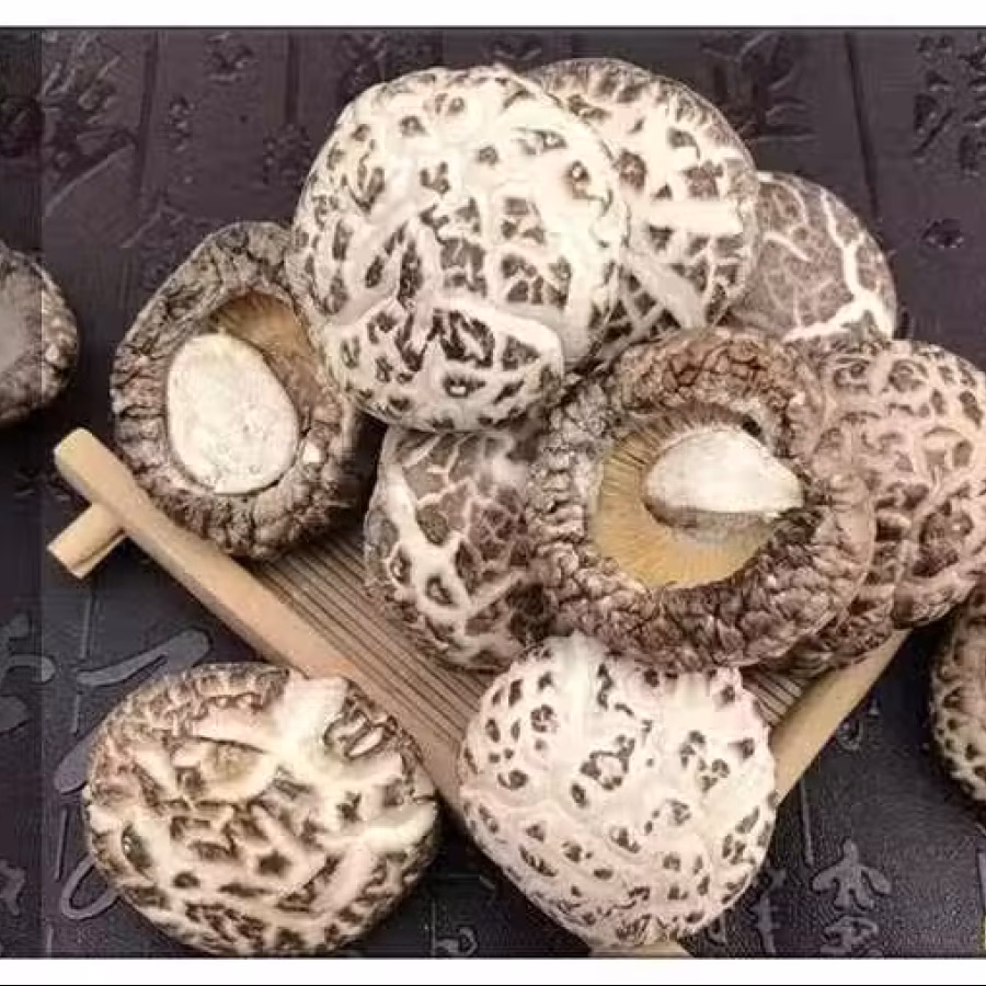 出售香菇 图片 3