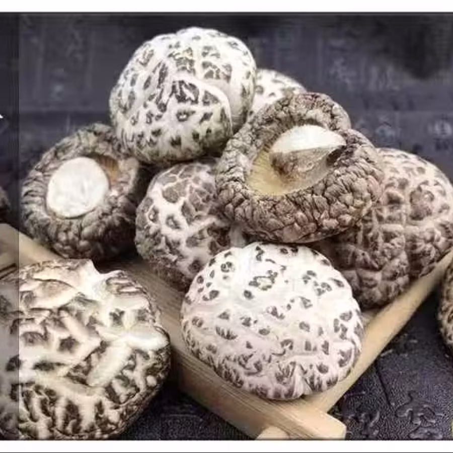 出售香菇 图片 5