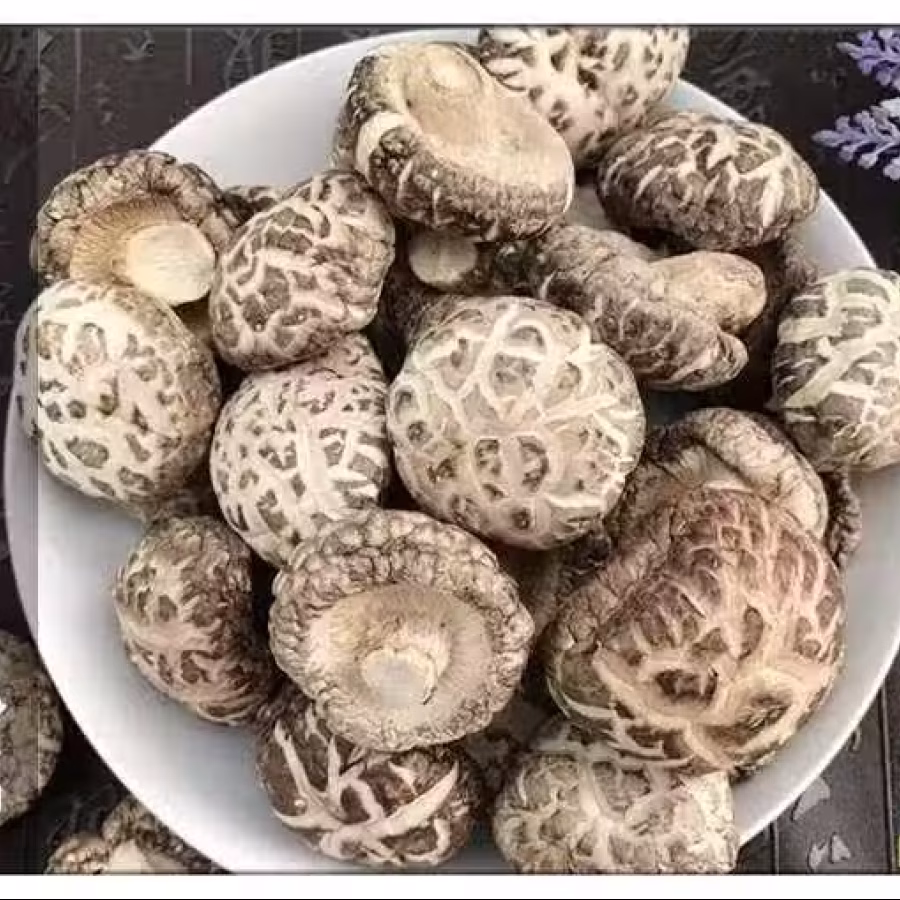 出售香菇 图片 6