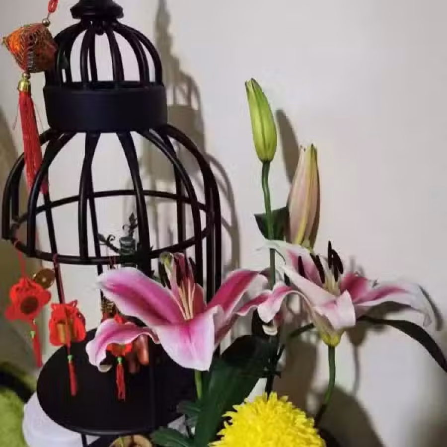 铁艺美式置物架 （花架 书架 酒架....） 图片 2