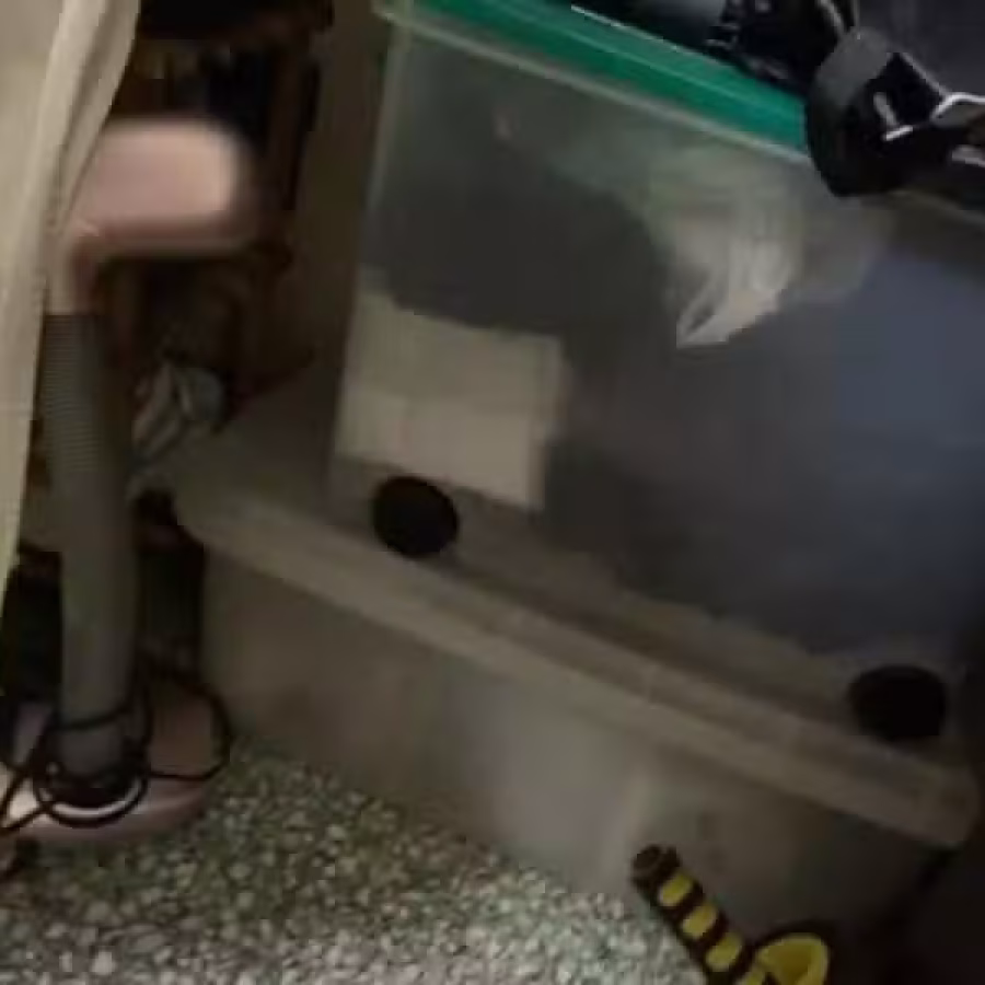 整理箱 图片 1