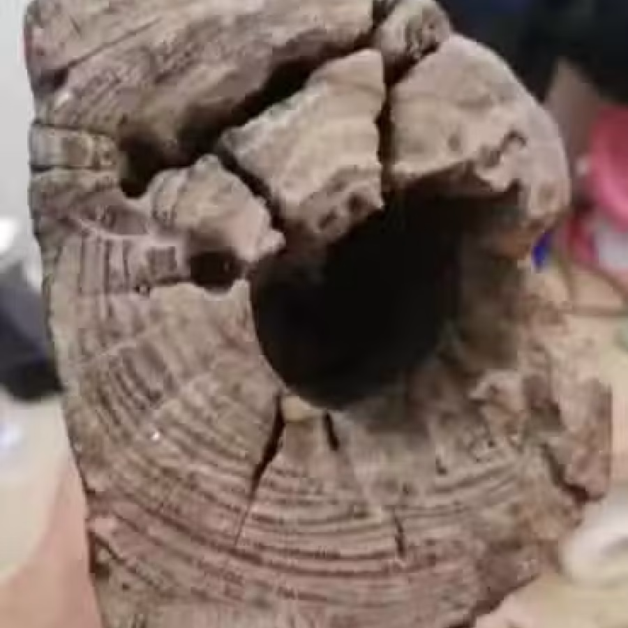 老佛像 图片 2
