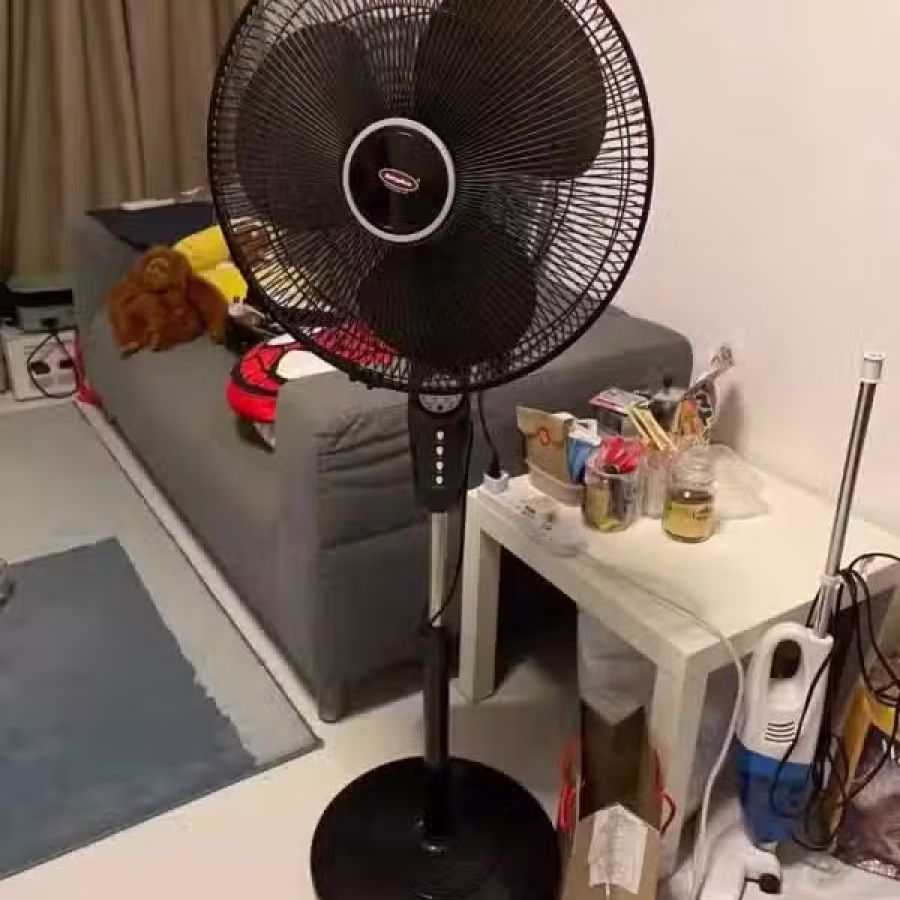 风扇 图片 1