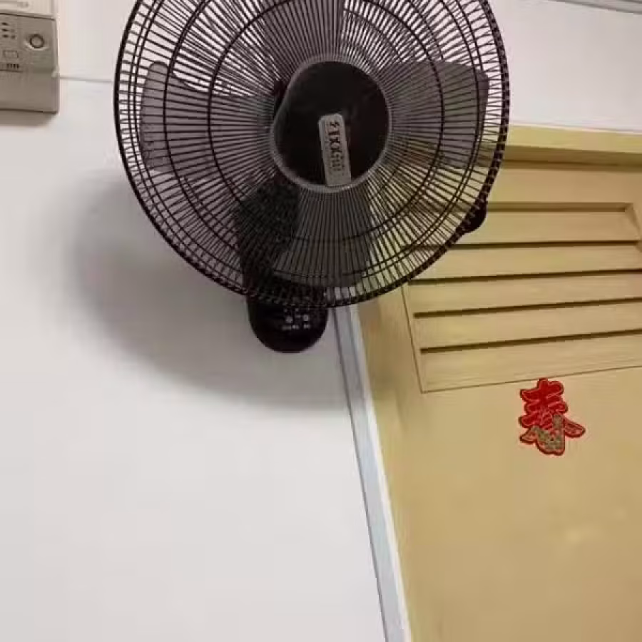 壁挂式风扇 图片 2